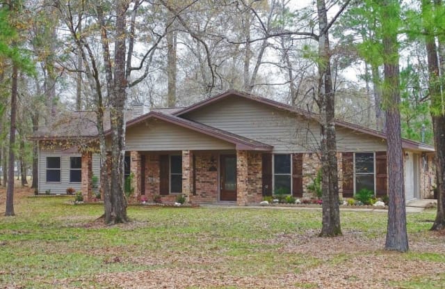 13420 Davida - 13420 Davida Dr, Bevil Oaks, TX 77713