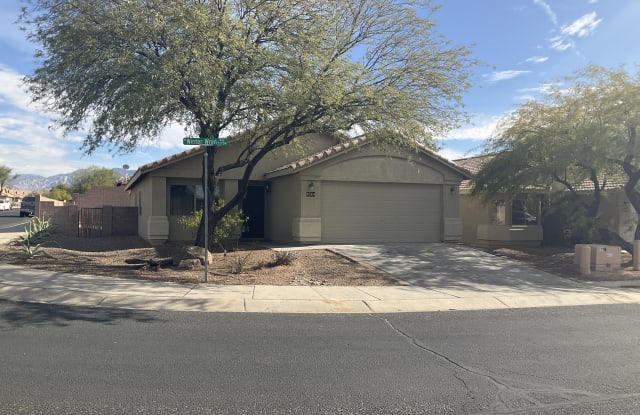 9564 N Winter Wren Ave - 9564 North Winter Wren Avenue, Marana, AZ 85742