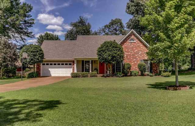 388 OLD COLLIERVILLE-ARLINGTON
