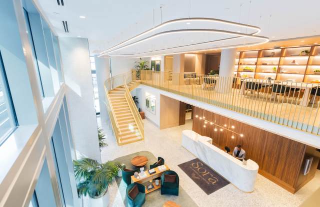 Photo of Sora at Spring Quarter