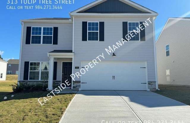313 Tulip Tree Street