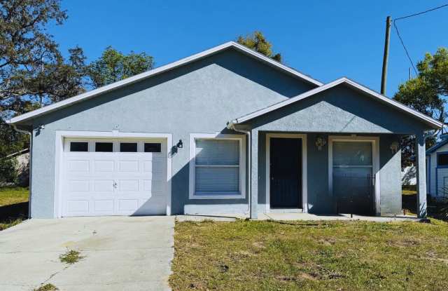 19 W Ella J Gilmore St, Apopka, FL 32703