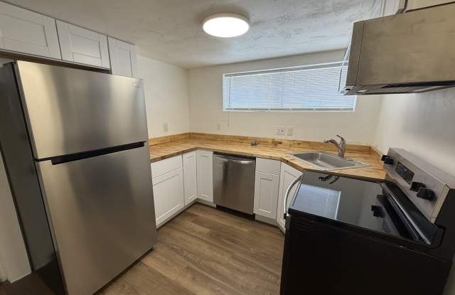 535 South 350 East - Basement