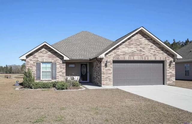 26450 Evangeline Trace Boulevard - 26450 Evangeline Trace Boulevard, Livingston County, LA 70726