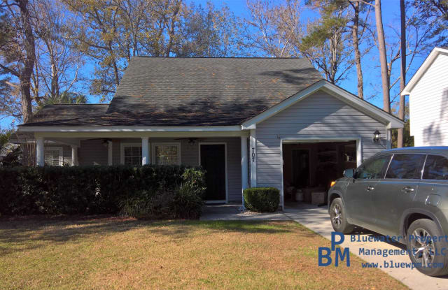 707 Bunkhouse Drive - 707 Bunkhouse Street, Charleston County, SC 29414