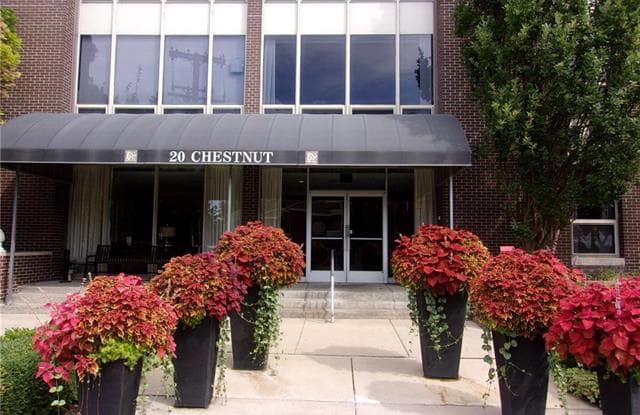 20 CHESTNUT Street - 20 Chestnut St, Wyandotte, MI 48192