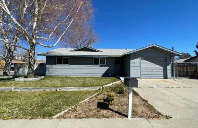 204 Agate Drive - 204 Agate Drive, Carson City, NV 89706