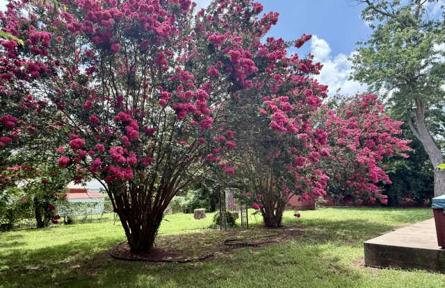 1080 West Park Street