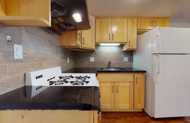 384 Chester Street - Lower