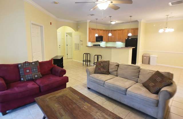 Campus View - Furnished 3 Bedroom, 3 Bathroom Apartment