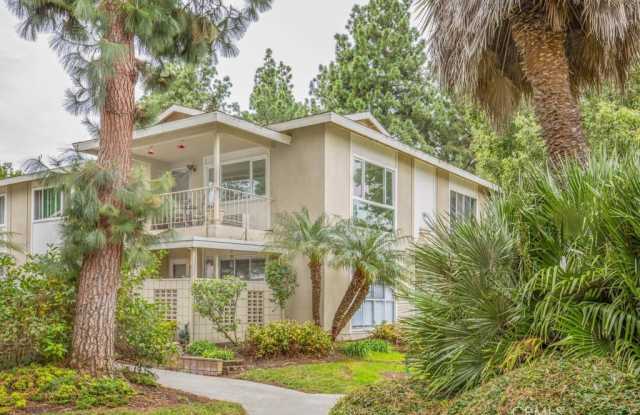 281 Avenida Carmel -N