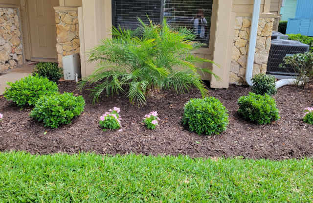 113 Golden Eye Drive