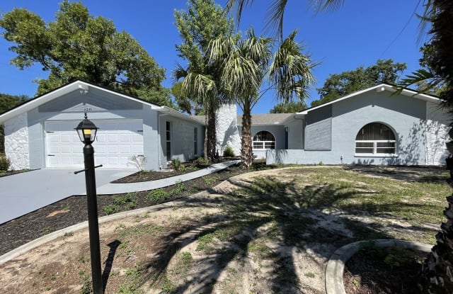 10237 Bannock Drive - 10237 Bannock Street, Spring Hill, FL 34608