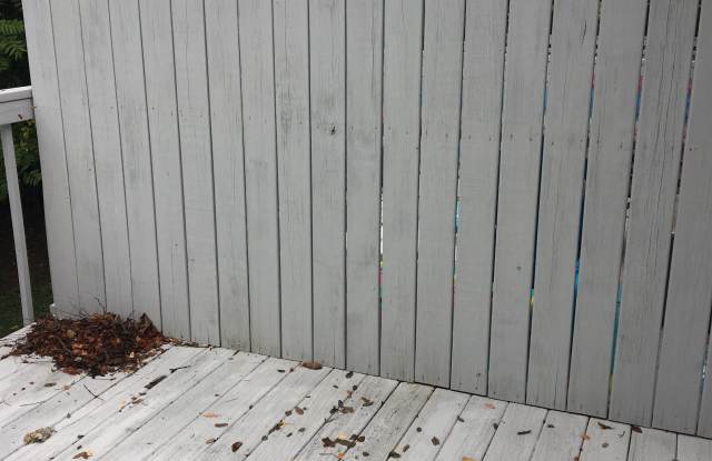 1113 Homestead Garden Court - 6