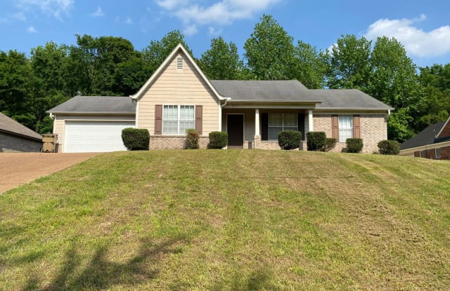 4274 Cedar Hills Road - 4274 Cedar Hills Road, Shelby County, TN 38135