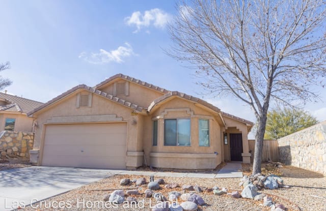 2513 Silver Hawk Avenue - 2513 Silver Hawk Avenue, Las Cruces, NM 88011