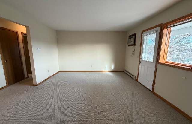 Two Bedroom Apartment - Upper Unit. Byron Center Schools!