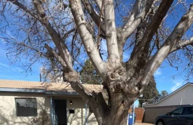 Sweet 3 Bedroom one and a half bathrooms Large back and front yard NE Heights home!