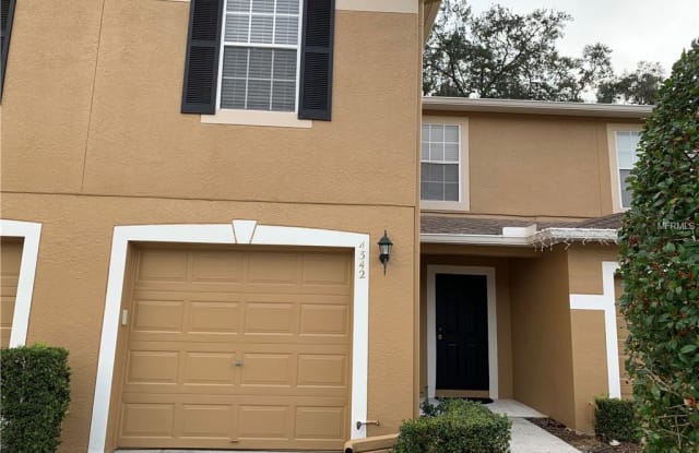 4342 SILVER FALLS DR - 4342 Silver Falls Drive, Pasco County, FL 34639