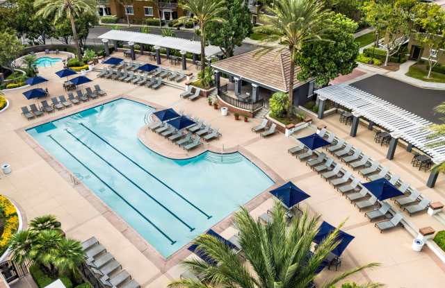 Photo of Homecoming At Terra Vista