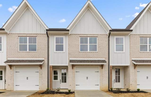 Brand New Construction Townhomes at James Creek! First month rent free! photos photos