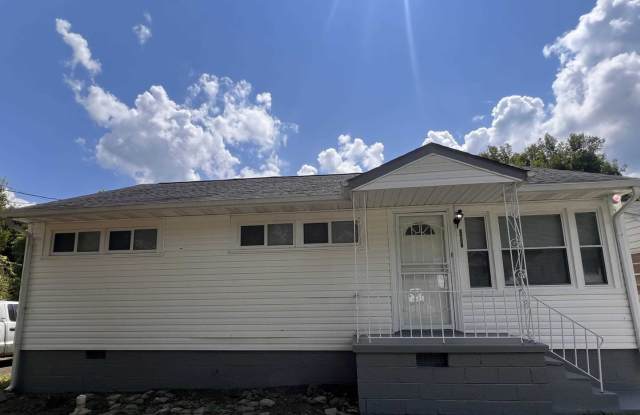 Adorable, remodeled 3br/1ba house close to downtown - 2222 Chester Avenue, Knoxville, TN 37915