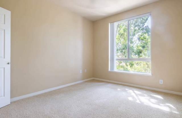 Photo of City Pointe