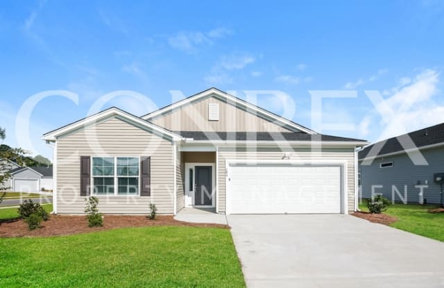 264 Clydesdale Circle - 264 Clydesdale Circle, Berkeley County, SC 29486