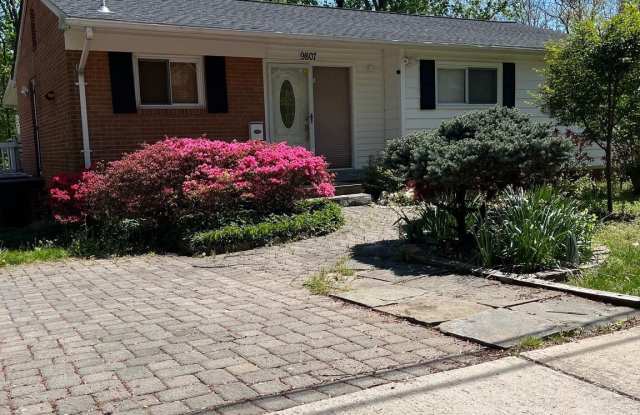 9807 ARBOR HILL Drive