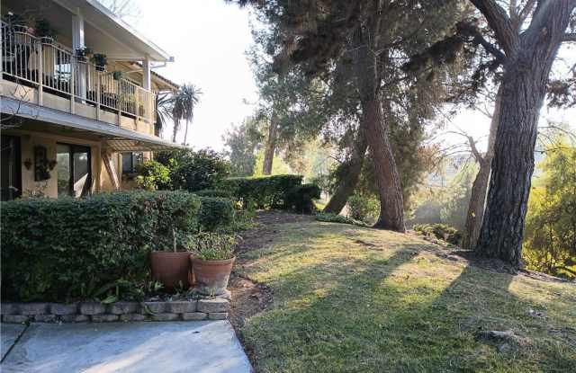 Photo of 905 Ronda Sevilla