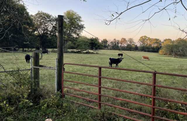 2402 Pembroke RoadApartment B