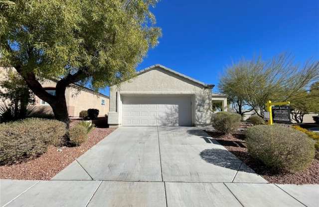 3290 Dragoon Springs Street - 3290 Dragoon Springs Street, Summerlin South, NV 89135