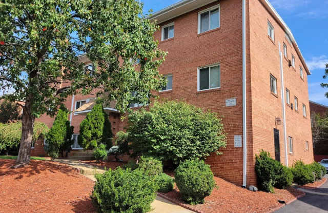 323 South Veitch Street