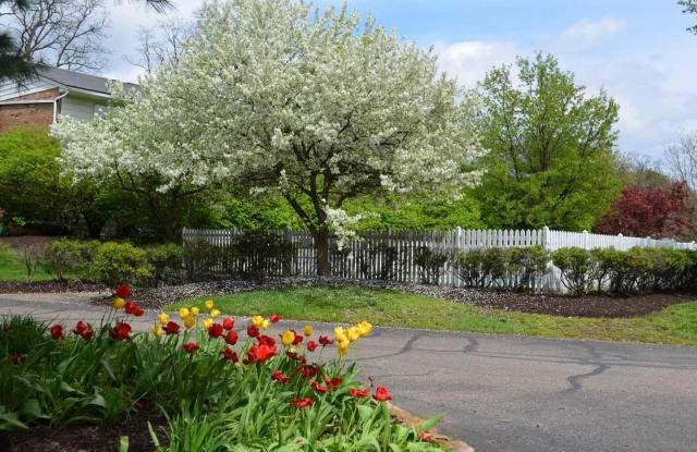 220 Fulmer Ave. Unit D12