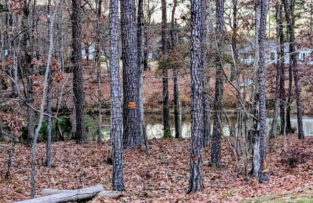 1024 Red Roses Avenue