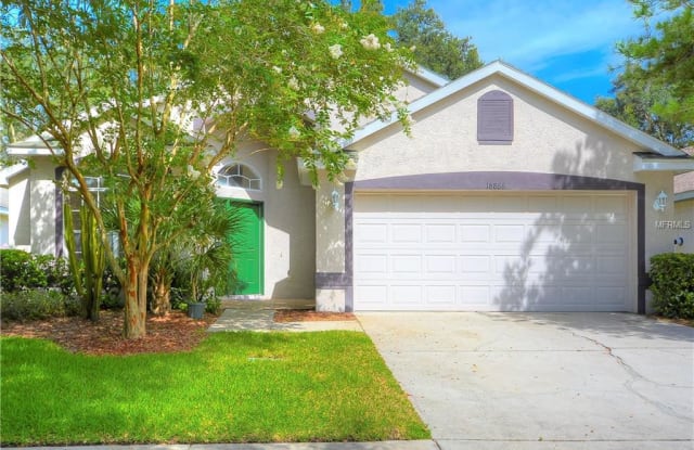 18866 MAISONS DRIVE - 18866 Maisons Drive, Cheval, FL 33558