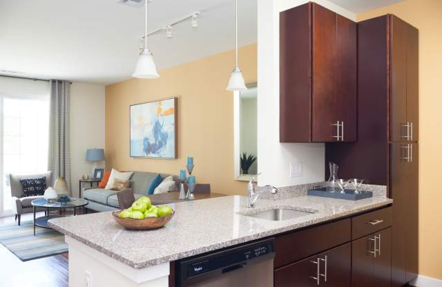 Photo of Berry Farms