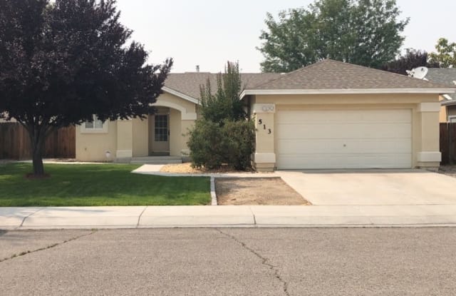 513 Summer St - 513 Summer Street, Fernley, NV 89408