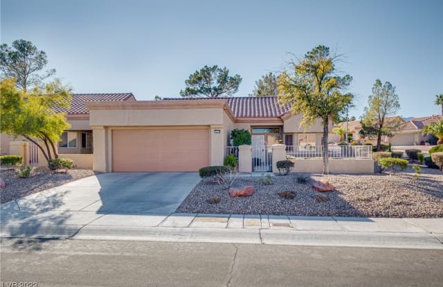 2849 Bluffpoint Drive - 2849 Bluff Point Drive, Las Vegas, NV 89134