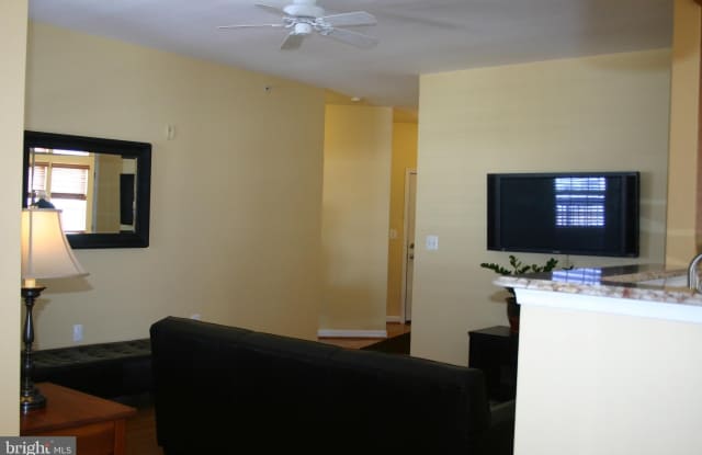 22706 BLUE ELDER TERRACE