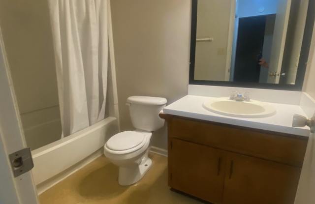 3204 Ginger Drive unit: C