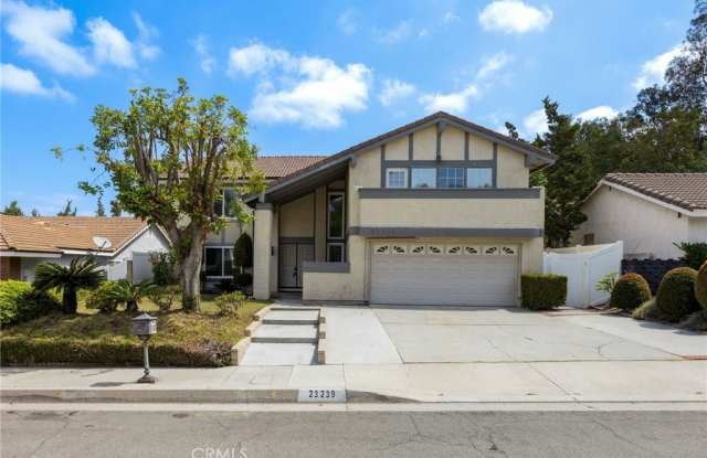 23239 Forest Canyon