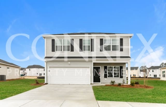 247 Clydesdale Circle - 247 Clydesdale Circle, Berkeley County, SC 29486