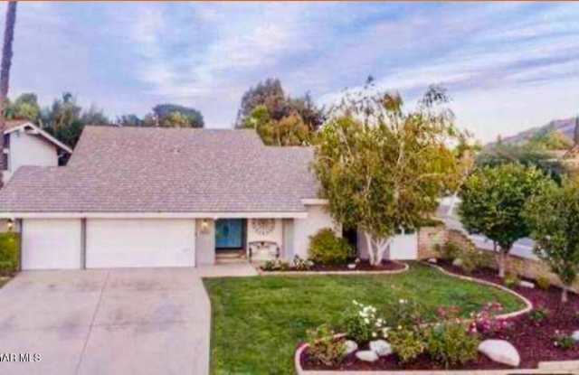 4502 Wolsey Court