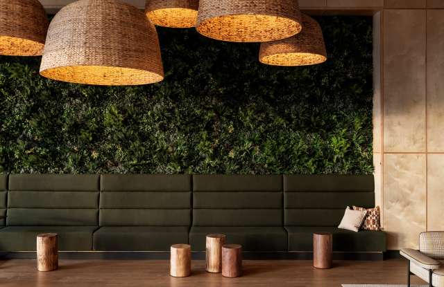 Photo of The Moraine