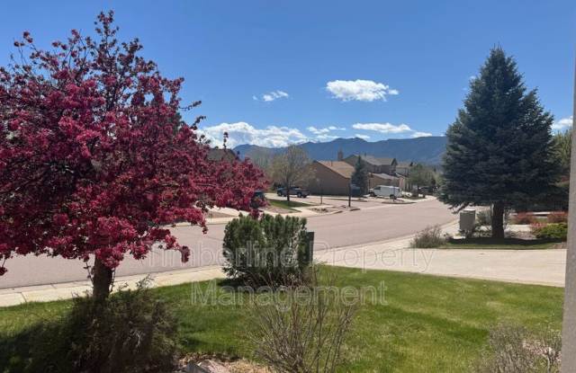 16259 Windy Creek Drive