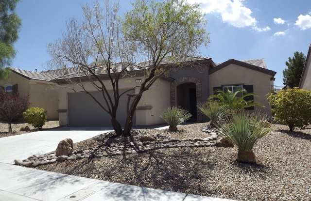 **WONDERFUL SINGLE STORY HOME IN 55+ "SUN CITY ANTHEM SOLERA!!"