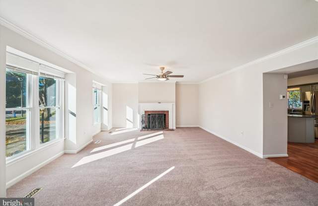 8803 BLACK ALDER Drive