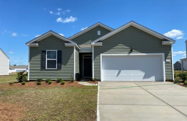 1251 Winterburn Dr - 1251 Winterburn Dr, Horry County, SC 29526