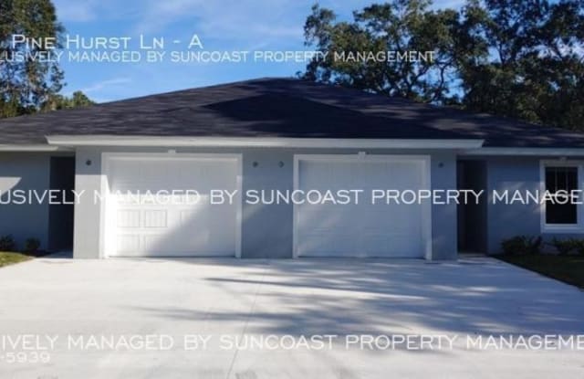 22 Pine Hurst Ln - 22 Pine Hurst Lane, Palm Coast, FL 32164